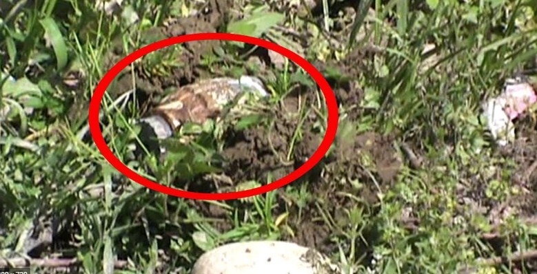 Major tragedy averted, live grenade recovered in Baramulla